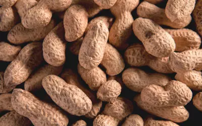 Joint Statement on Peanut Allergy Therapy Review