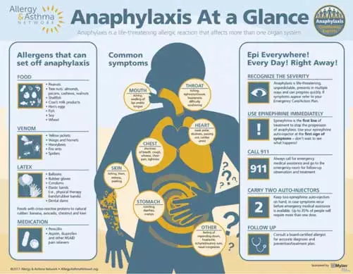 Infographic of anaphylaxis at a glance