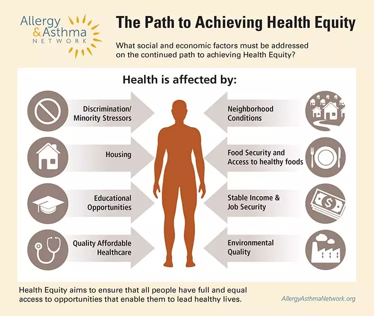 Path to achieving Health Equity infographic