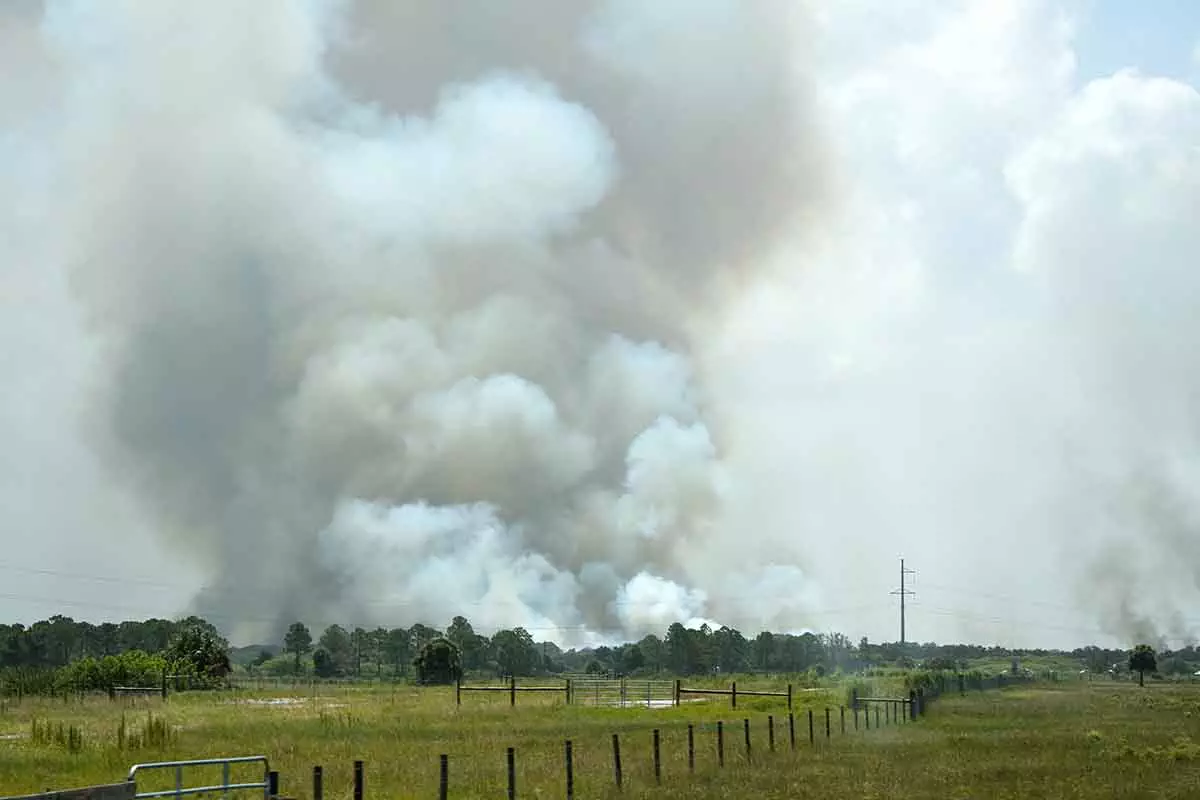 Photo of Smoke billowing forth from a large fire in a field
