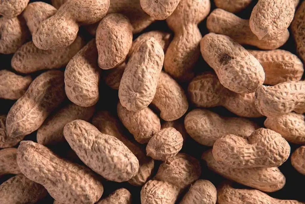 Image of dried peanuts