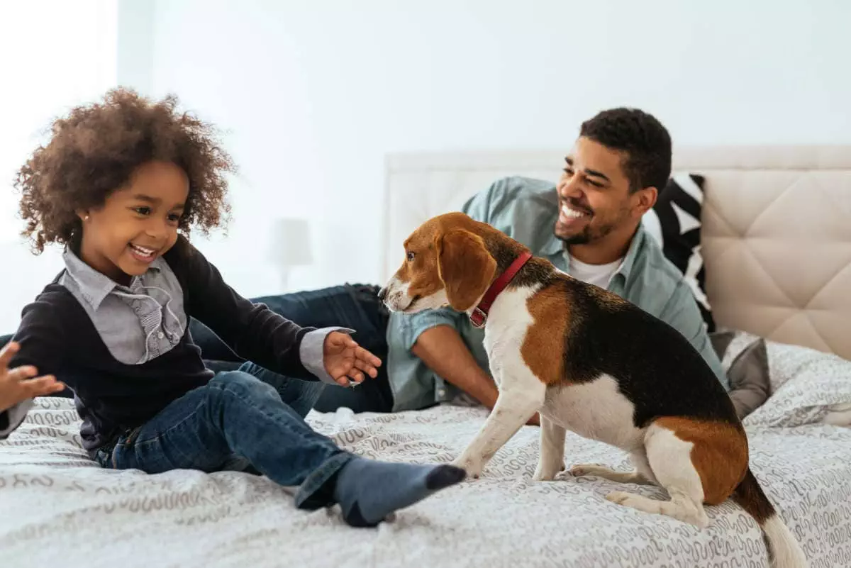 African american father and daughter spending time together with a dog on a bed.