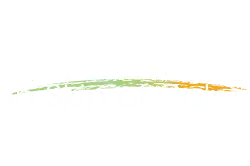 Eczema in Skin of Color logo
