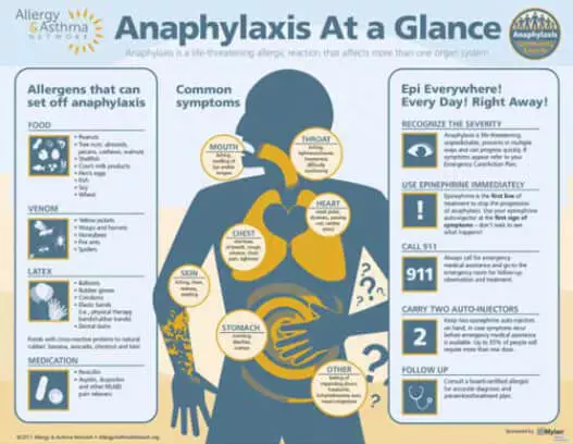 Thumbnail of Anaphylaxis at a Glance infographic