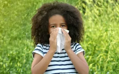 5 Myths About Spring Allergies