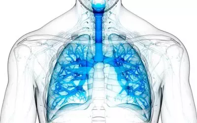 COPD Phenotypes (Recording)