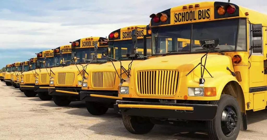 Line of yellow school buses