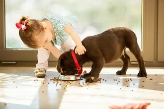 photo of toodler girl petting a dog who is eating it