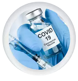 Covid vaccine facts icon