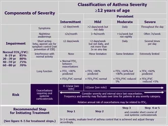 Photo of Asthma Severity Chart for ages 12 and up
