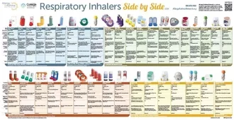 Photo of the Respiratory Inhalers: Side by Side poster