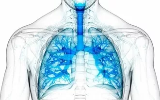 COPD Phenotypes (Recording)