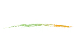 Eczema in Skin of Color logo